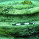 Illustration for article titled Lost Underwater City Actually Just a Bunch of Boring Rock Formations